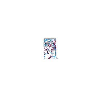 Export Image