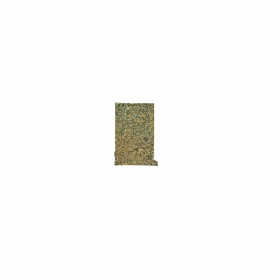 Export Image