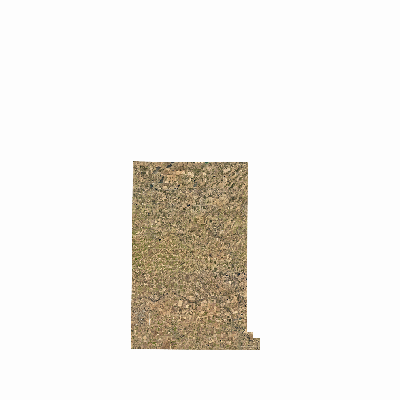 Export Image
